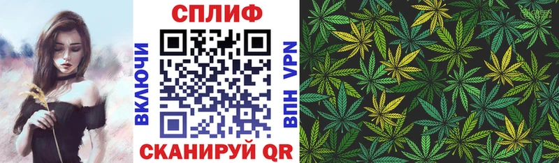 Купить закладку Гатчина ГАШ Cocaine Героин Альфа ПВП Бошки Шишки Мефедрон