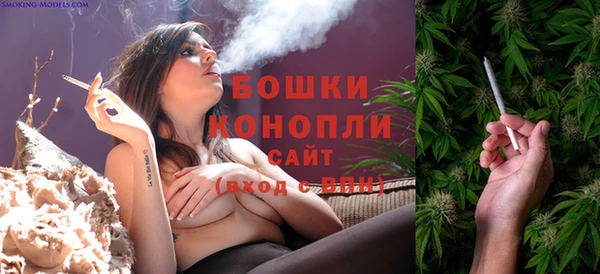 твердый Верхний Тагил